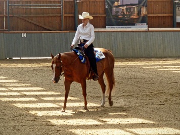 Miss Ada Power und Isabell Marr Jungpferdebasis Barabers Home Eltze