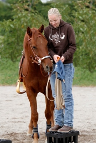  Jungpferd, Hof-Spaß-Turnier beim Schirmöffnen, Nürtingen