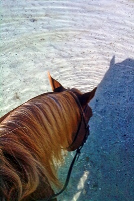 Ada beim Wassertraining